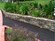 Residential landscape design by AQL in Balwyn, Victoria.