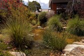 Water Gardens, landscape design Melbourne