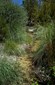 natural garden water way, dry river bed, seasonal river bed, garden design
