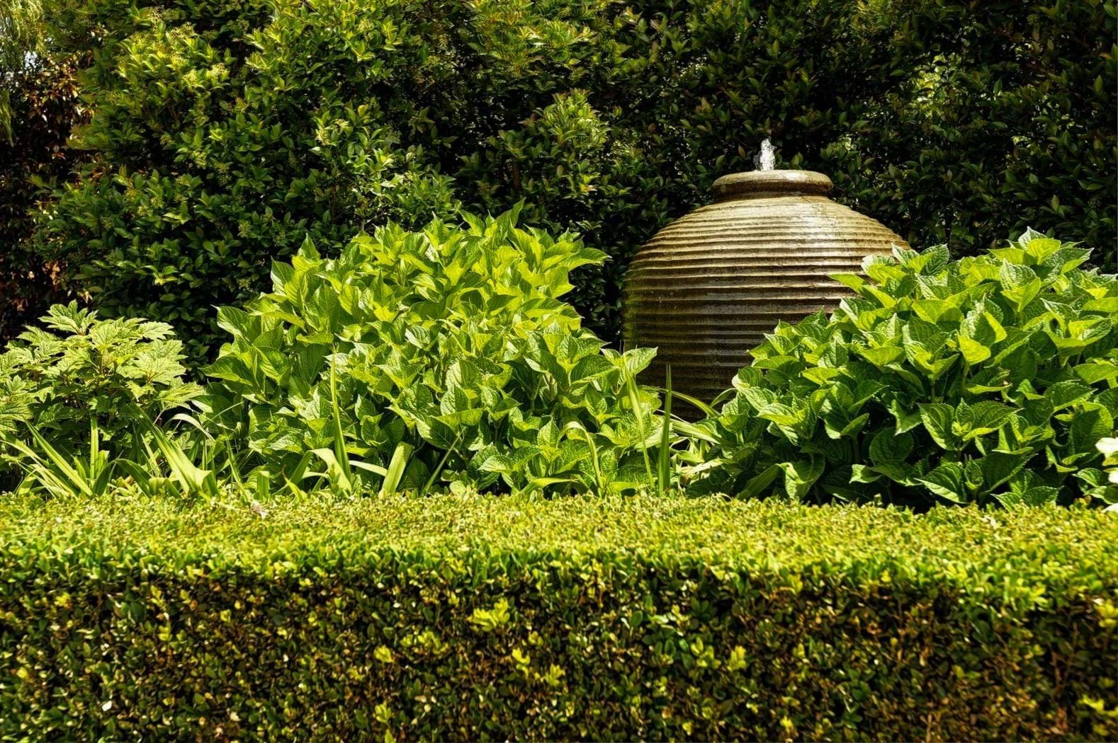 Cultivating Beautiful and Eco-Conscious Landscapes.