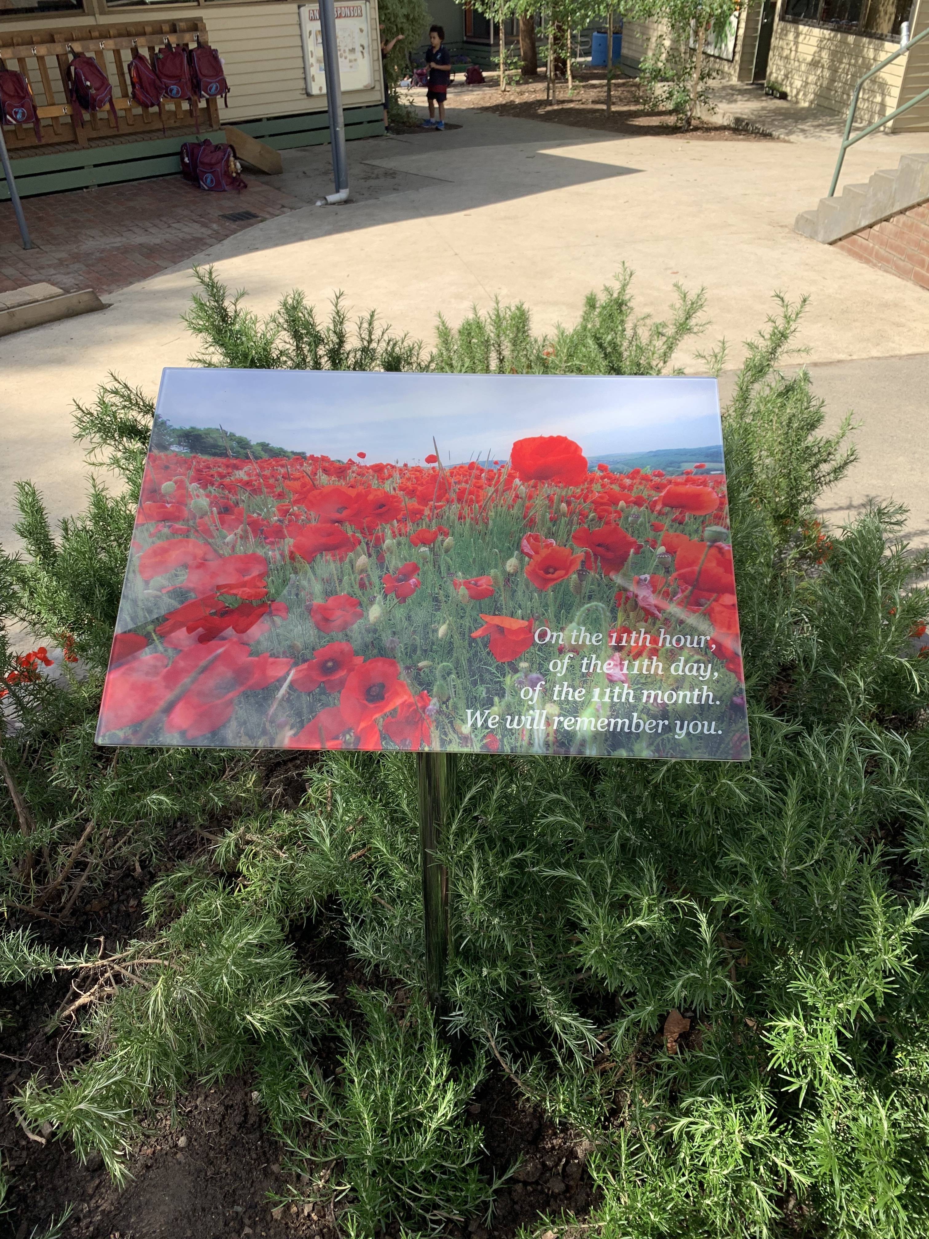 Interpretive Signage