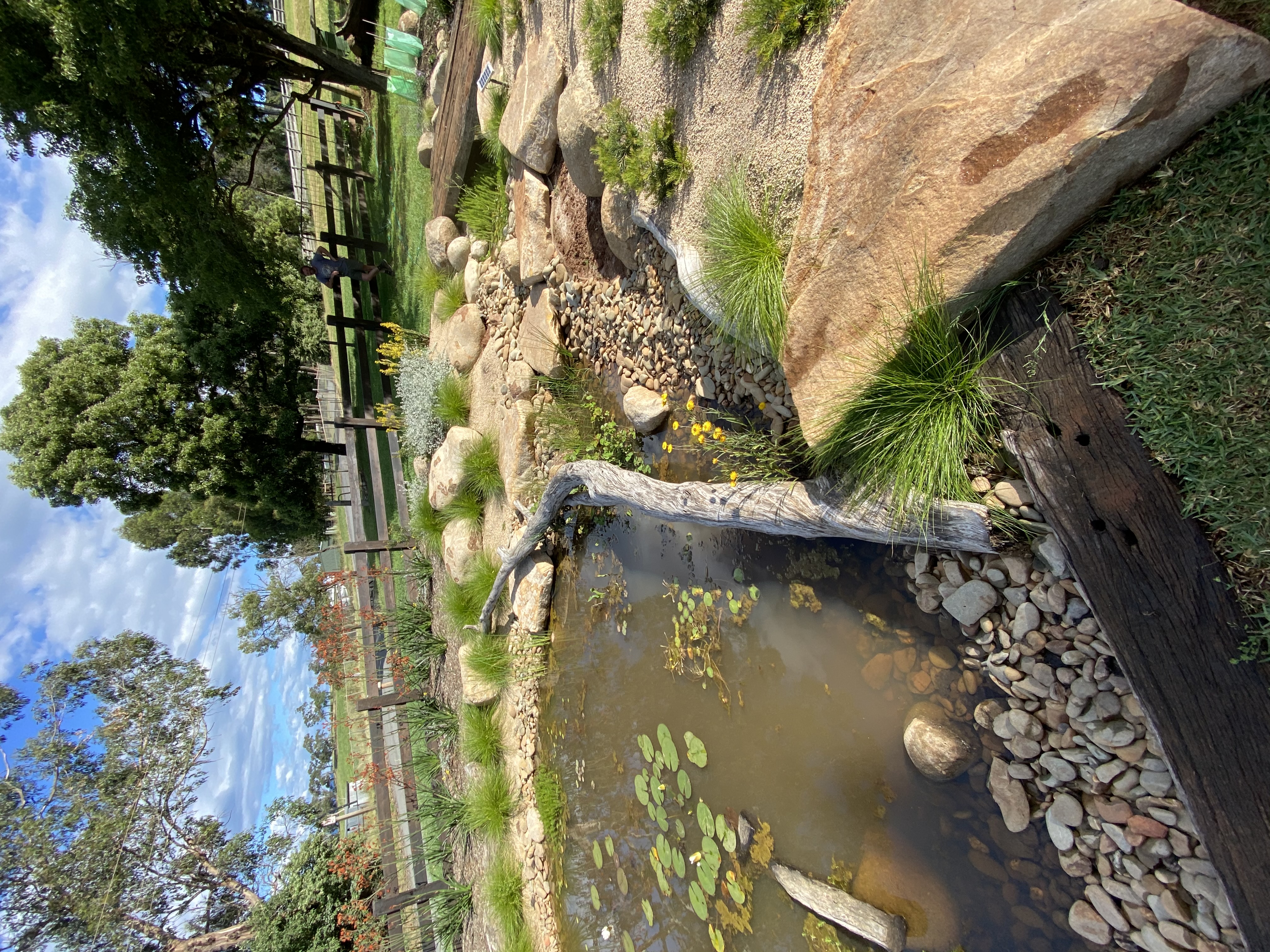 Eco-Friendly Landscaping 