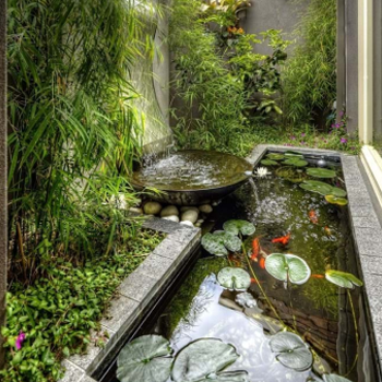 Commercial, Government + Local Council